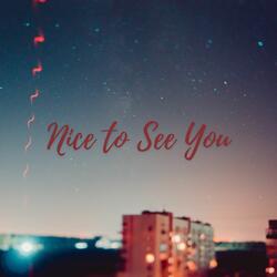 Nice to See You