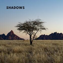 Shadows