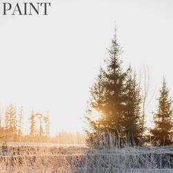 Paint