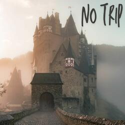 No Trip