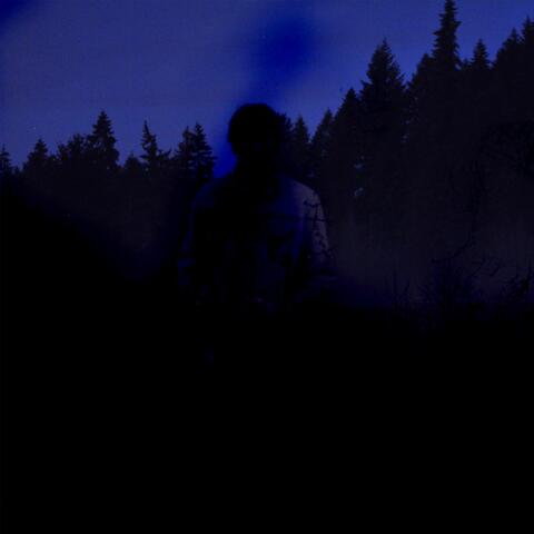 Shadows