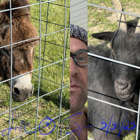 Live Peace Vol. 8 (Live @ The Donkey Farm 5/31/25)