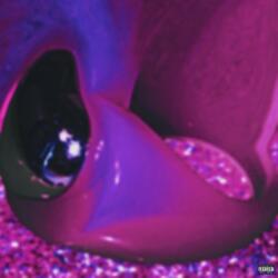 Stay Still (You Don't Rlly Love Me)