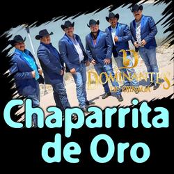 Chaparrita De Oro