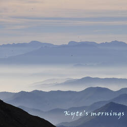 Kyte's Mornings