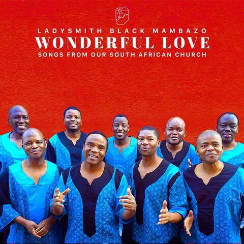 Wonderful Love (Live)