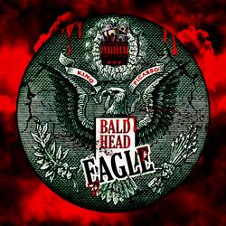 Bald Head Eagle