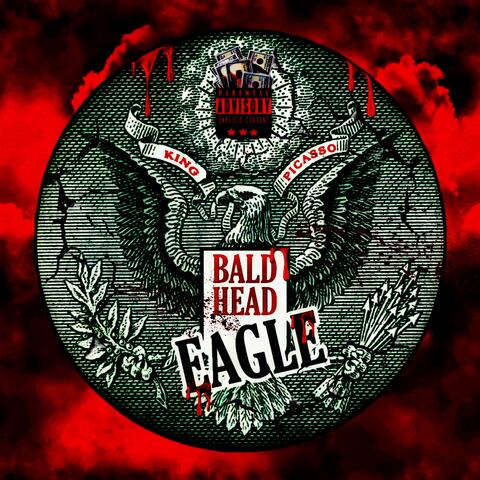 Bald Head Eagle