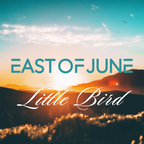 Little Bird