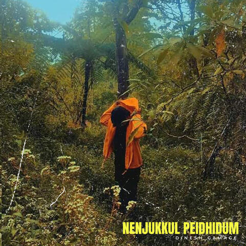 Nenjukkul Peidhidum