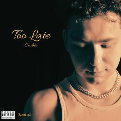 Too Late (Sped Up)