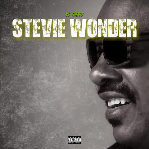 Stevie Wonder