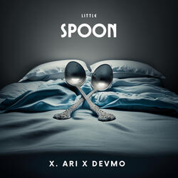 Little Spoon