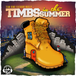 Timbs in the Summer (Instrumental)
