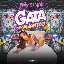 Gata En Malianteo