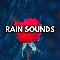 Steady Rain and Thunder (Loopable, No Fade Out)