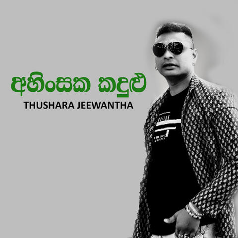 Ahinsaka Kandulu