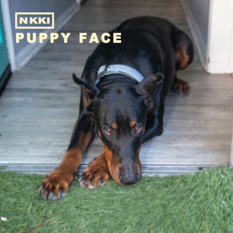 Puppy Face