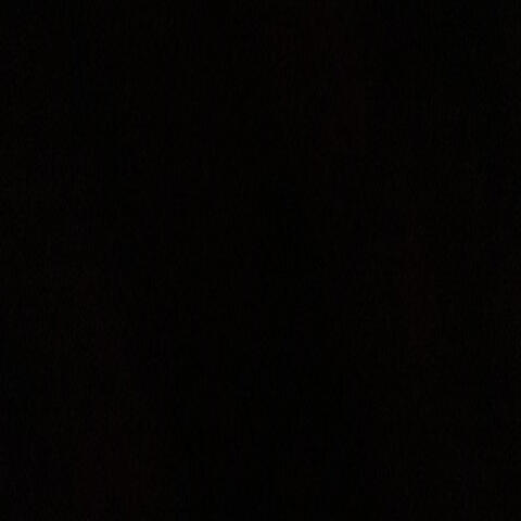 Trippin