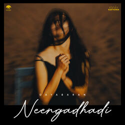 Neengadhadi