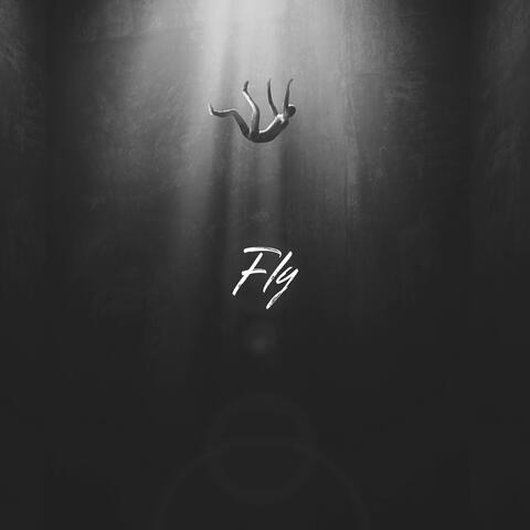 Fly