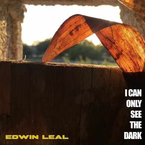 I Can Only See The Dark