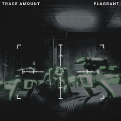 Flagrant2