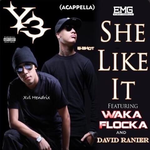 She Like It (Acapella)