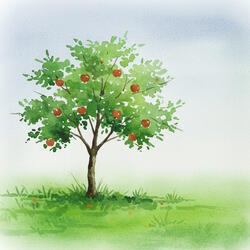 Planting Apple Trees