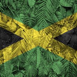 Island Fires Tonight