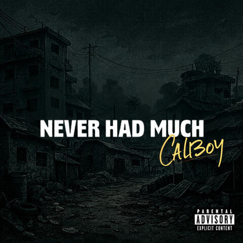Never Had Much