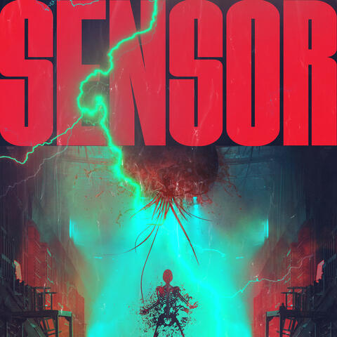 Sensor