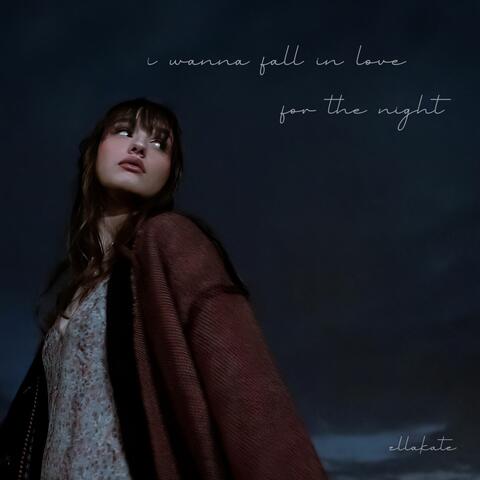i wanna fall in love for the night