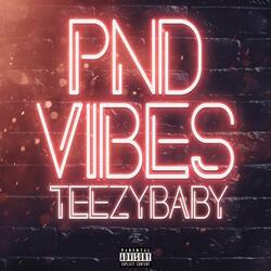 PND VIBES