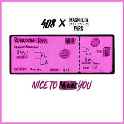 Nice to Meet You
