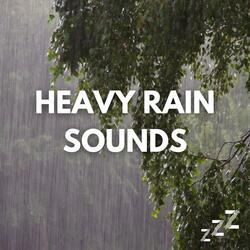 Rain Sounds (Heavy Rain)