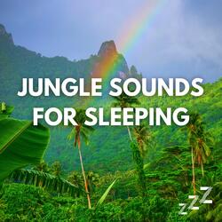 Jungle Rainforest Sounds (Loopable, No Fade)
