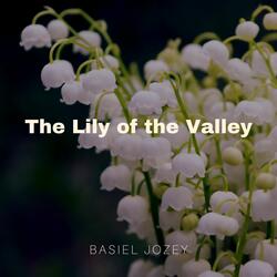 The Lily of the Valley