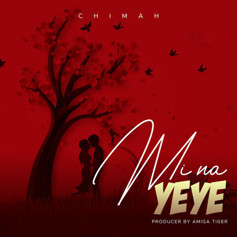 Mi Nayeye