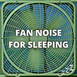 Box Fan Long Loop (Loopable Forever)