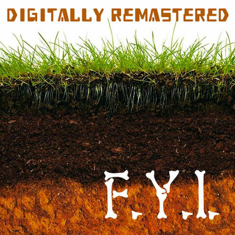 F.Y.I. (Digitally Remastered)