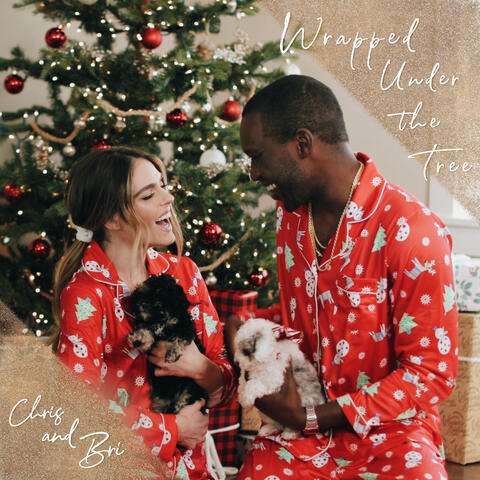 Wrapped Under the Tree