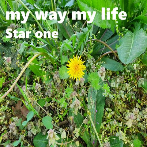 my way my life