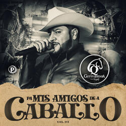 CABALLOS PARRANDEROS