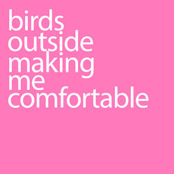 birds outside making me comfortable
