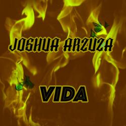 VIDA