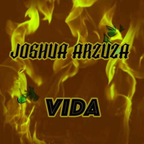 VIDA