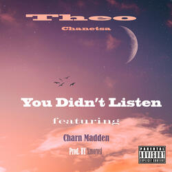 You Didn't Listen