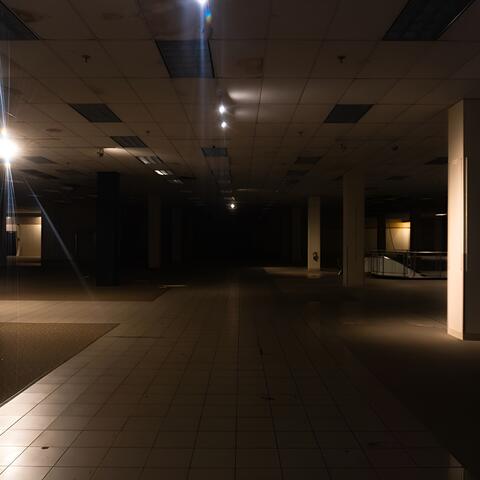 dissoluted