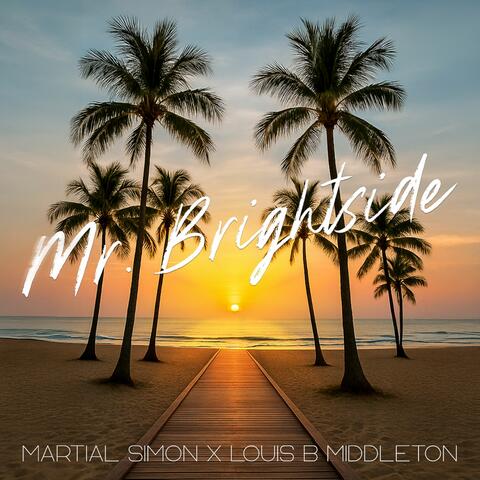 Mr. Brightside